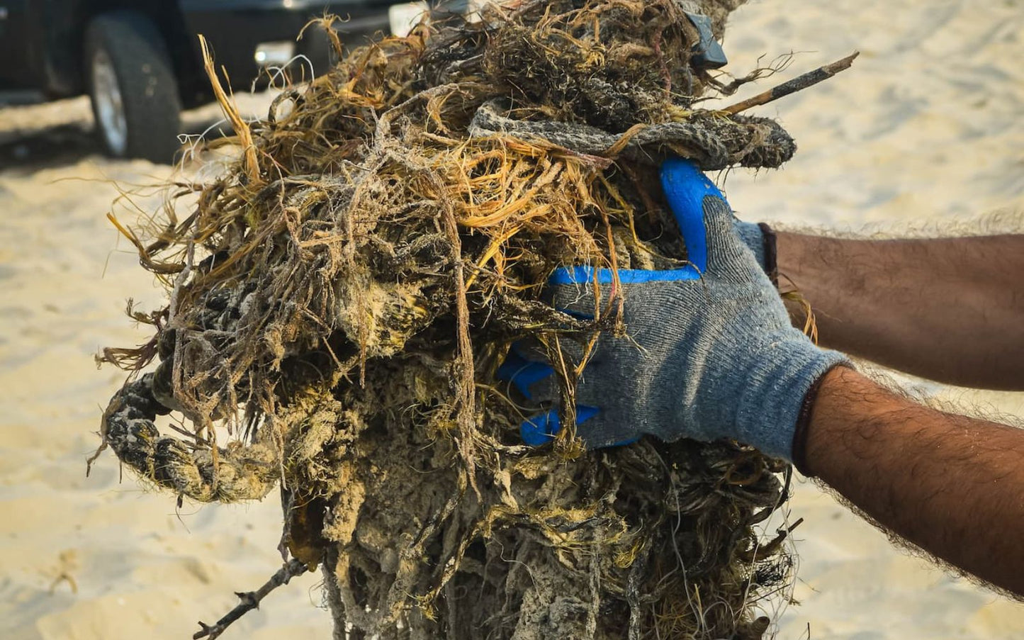 contaminacion-mecates-playas-mexico-mejora-tu-playa-2025