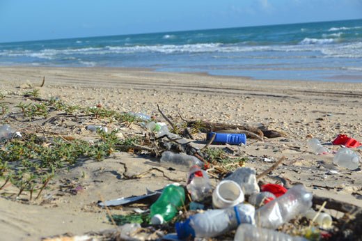 10 maneras efectivas de cuidar las playas y los mares