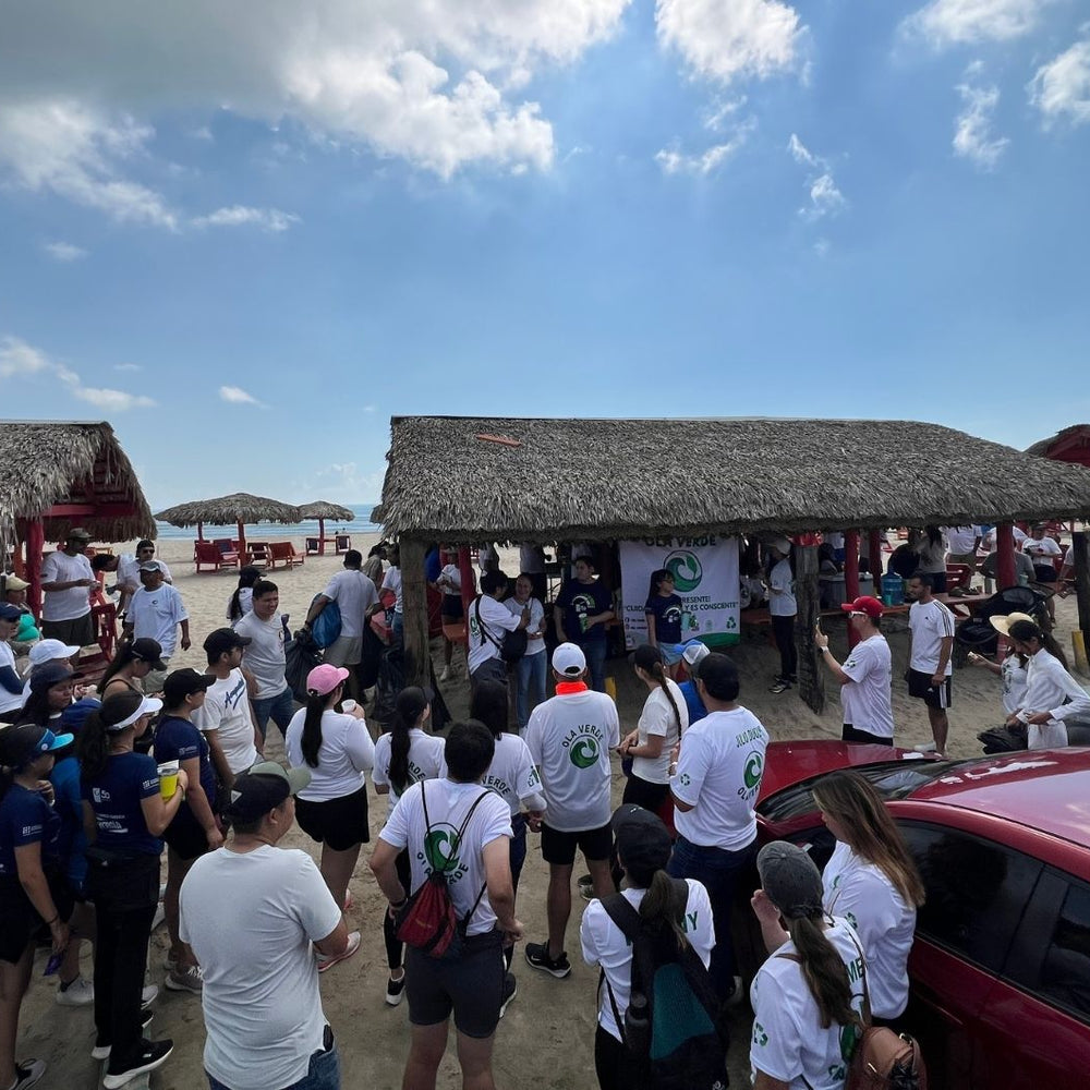 Jornada de Limpieza en Playa Miramar: Un esfuerzo colectivo por un mar más limpio