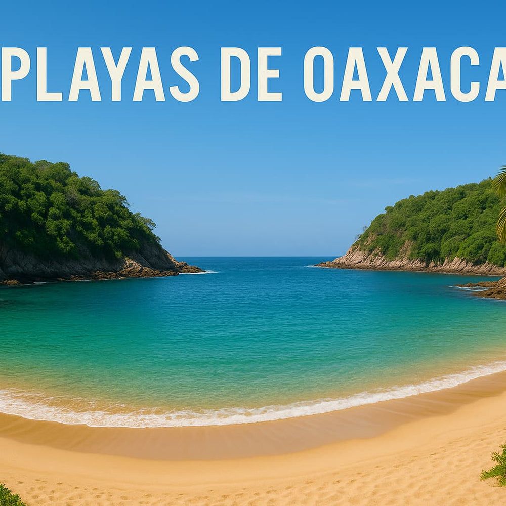Playas de Oaxaca: La mejor época para visitar las playas de Oaxaca