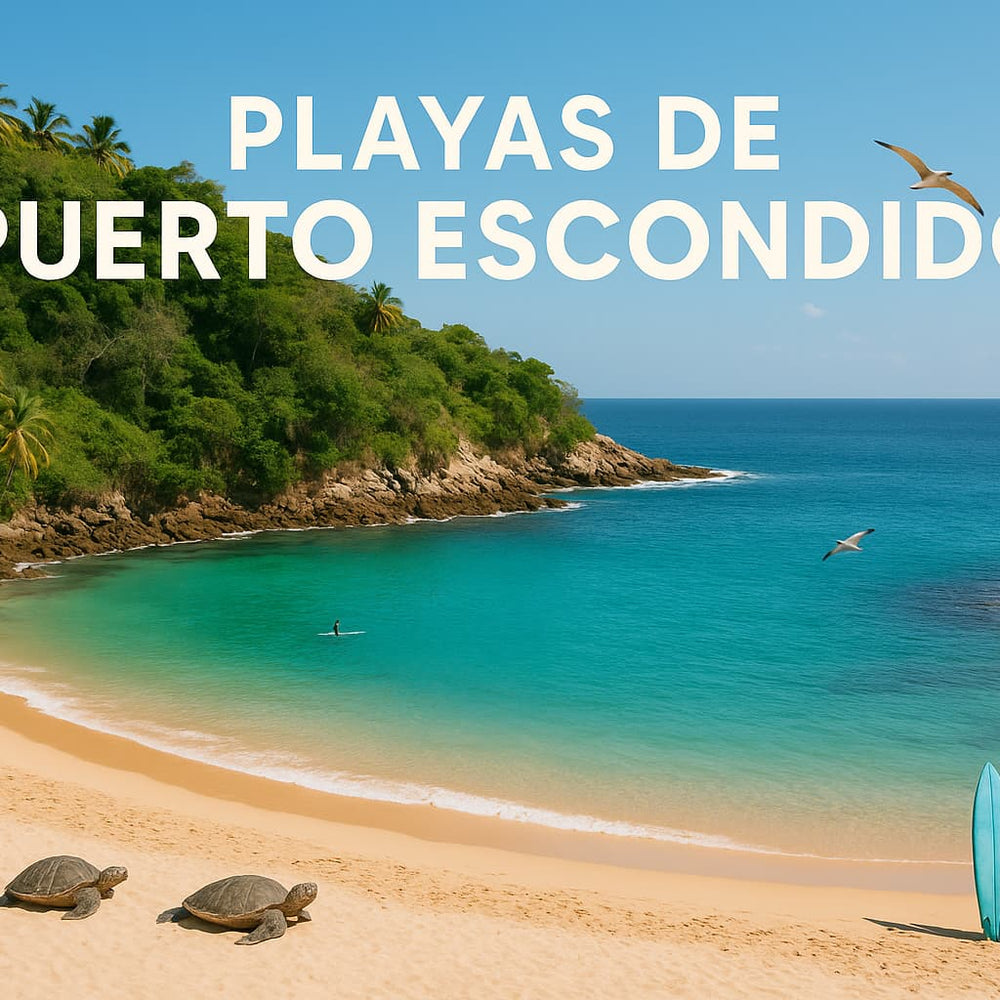 Playas Puerto Escondido: surf, naturaleza y turismo responsable