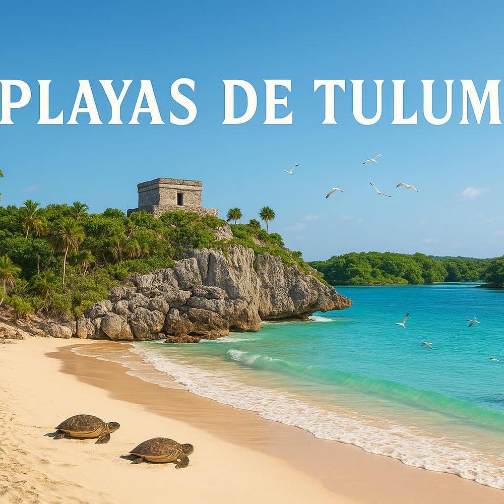 Playas Tulum: belleza caribeña, historia y conservación