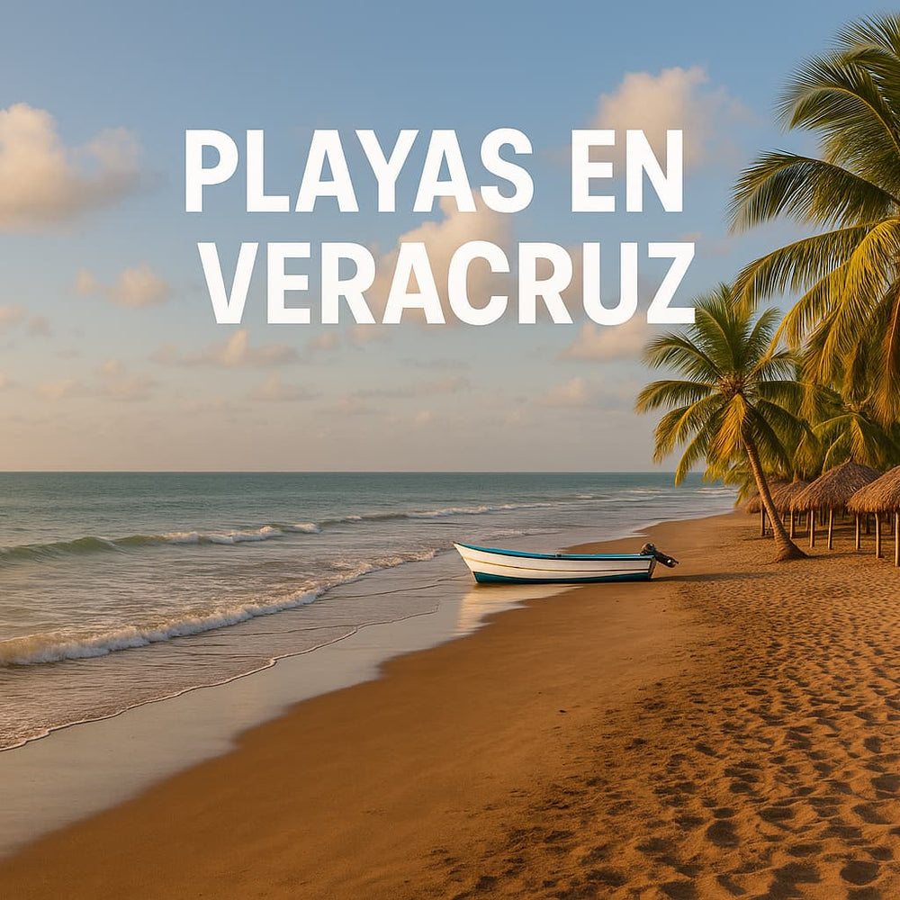 Playas en Veracruz: belleza natural y compromiso ambiental
