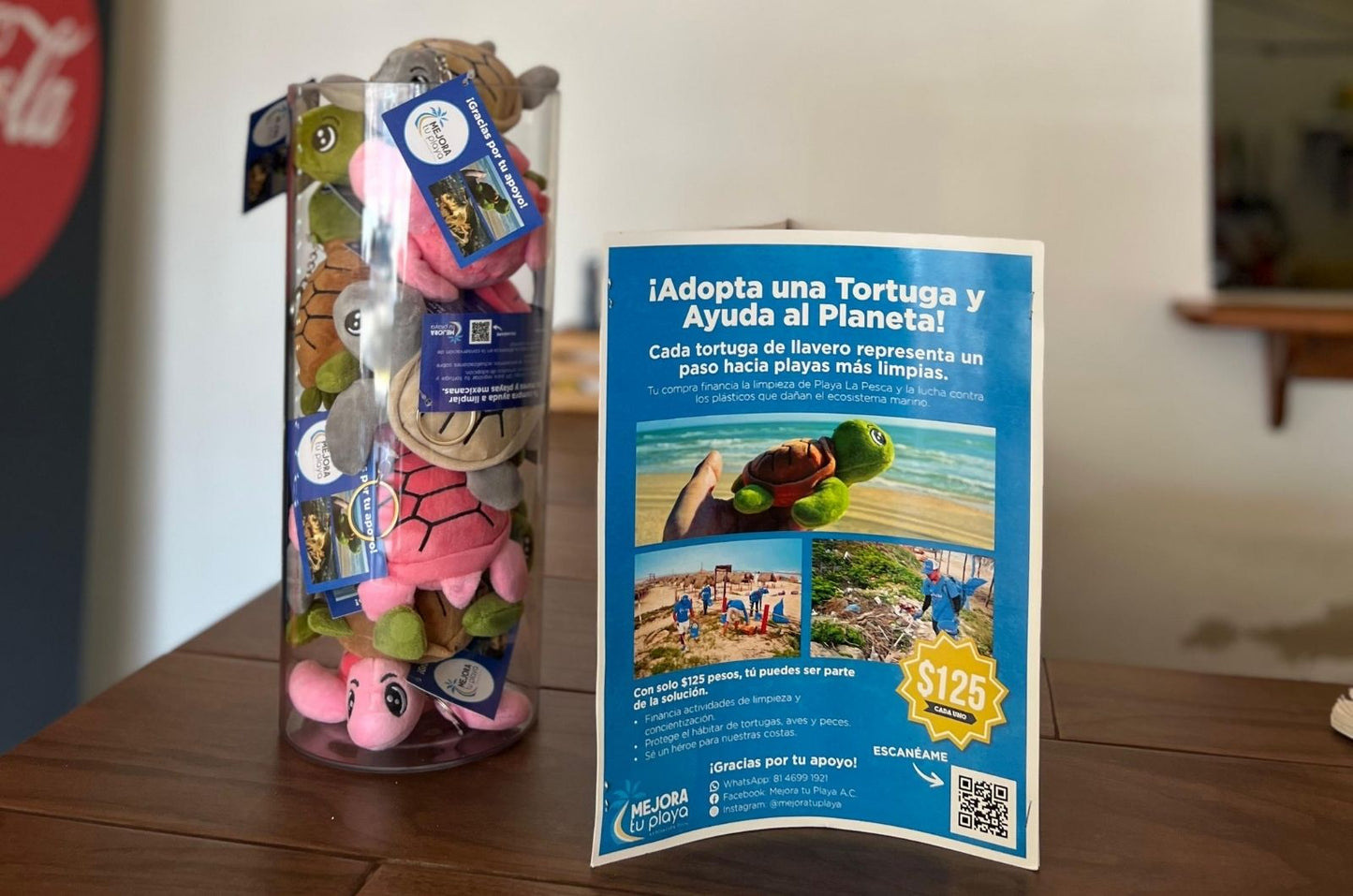 Nuevos puntos de venta de tortuguitas: gracias por sumarse a la causa