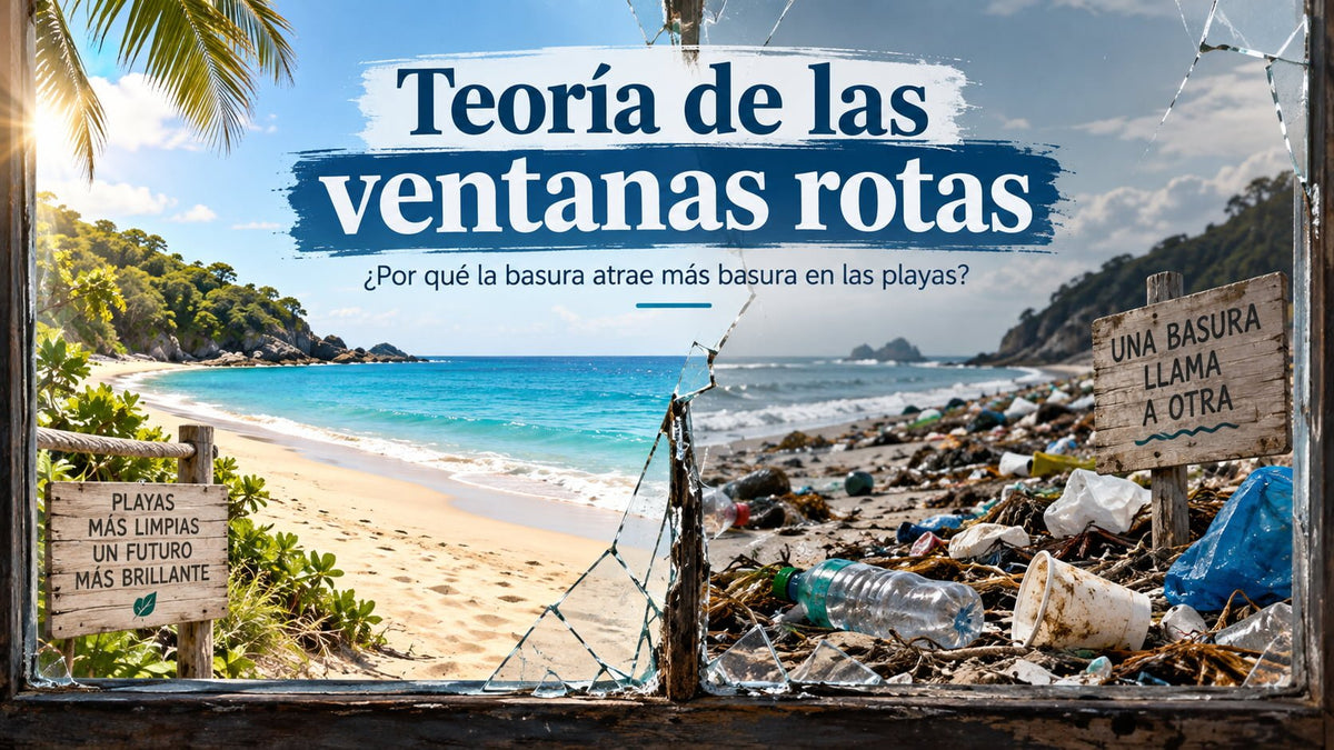 La Teoría de las Ventanas Rotas