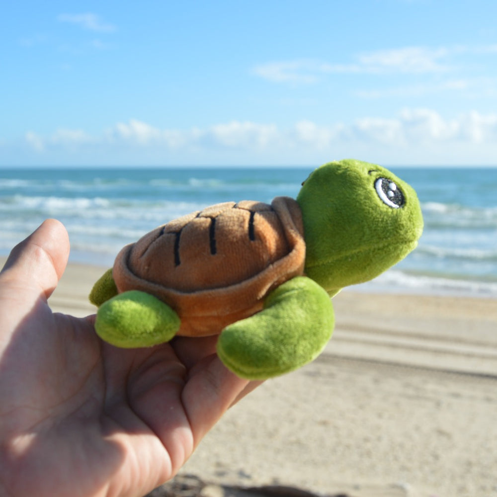 Mejora tu Playa A.C.