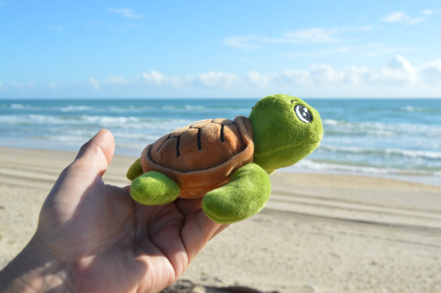 Mejora tu Playa A.C.